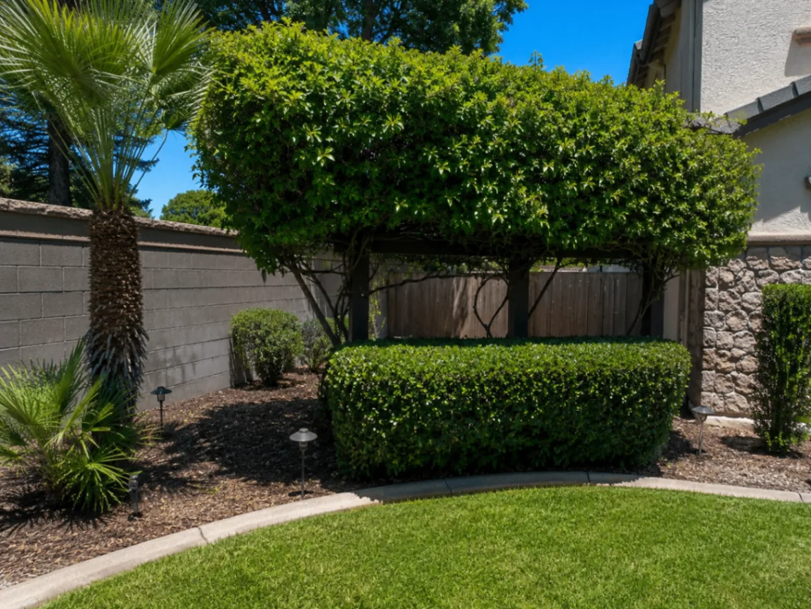 Cleanly maintained hedge and landscaped yard area after outdoor service